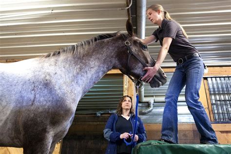 Photos: Chiropractor to the animal world | Minnesota Public Radio News