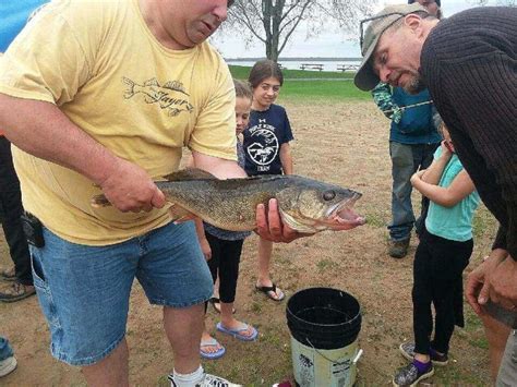 Oneida Lake Walleye Derby Winner Caught 1500 Fish At 4 Am Sunday