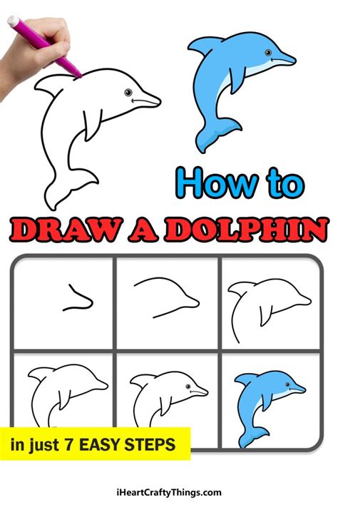 Easy Dolphin Drawing How To Draw A Dolphin Step By Step