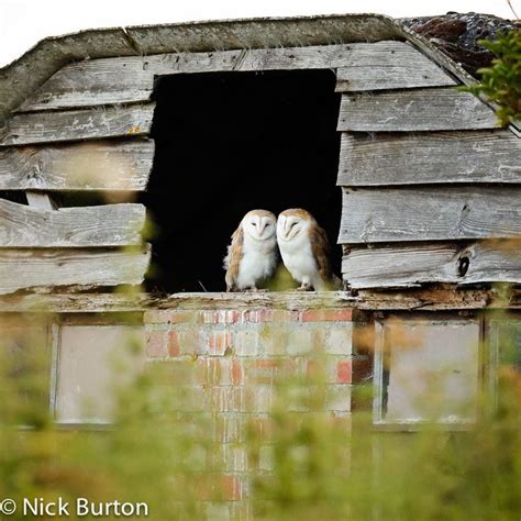 Lakenheath Fen Rspb Reserve Alchetron The Free Social Encyclopedia