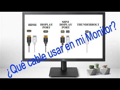 Lg Servicio Monitor Tipos De Cables Youtube