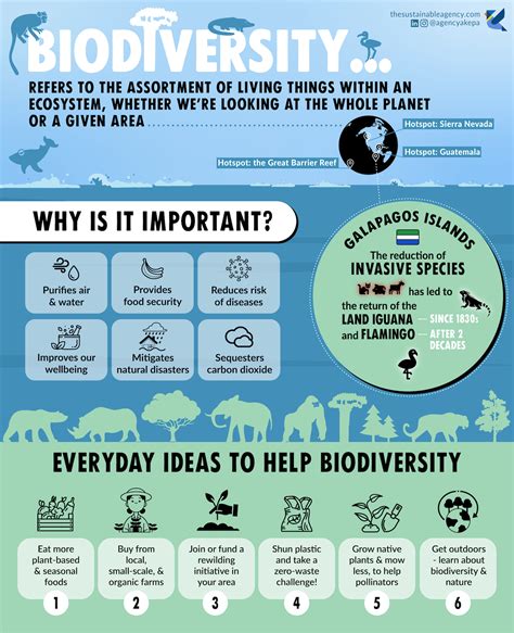 What Does Biodiversity Mean Why Is Biodiversity Important