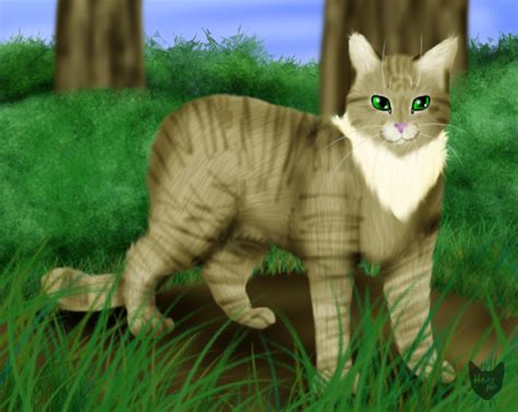 Thrushpelt by Hoverpelt on DeviantArt