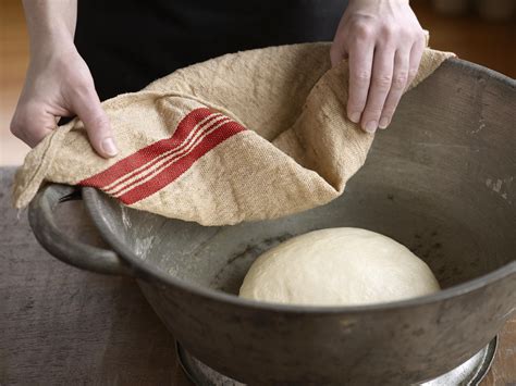 What Is Yeast and How Is It Used in Baking?