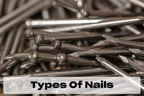 13 Different Types Of Nails Of 2023 With Nail Sizes And Nail Design For Woodworking Toolsgearlab