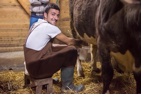 La vida cotidiana de los granjeros en el campo joven feliz ordeñando