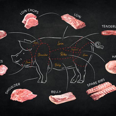 Pork Cuts Explained Ultimate Guide To Different Cuts Of