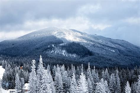 What It’s Like Visiting the Great Smoky Mountains in Winter