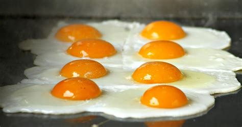 Delicious Egg Dishes