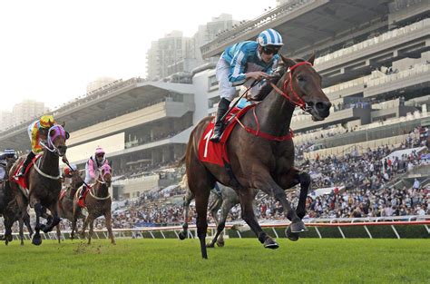 香港ダービー馬ロマンチックウォリアーが香港カップ前哨戦を快勝 好位追走から直線で抜け出す 海外 競馬写真ニュース 日刊スポーツ