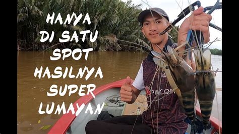 MANCING UDANG GALAH HANYA DI SATU SPOT HASILNYA SUPER LUMAYAN JIWA