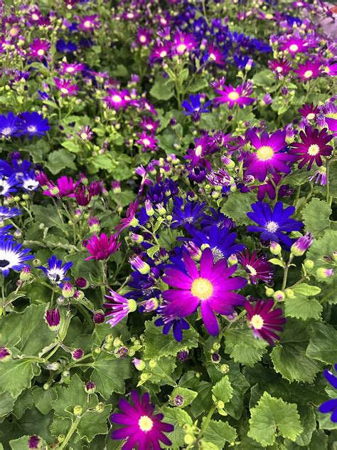 The Home Depot - The Home Depot added a new photo.