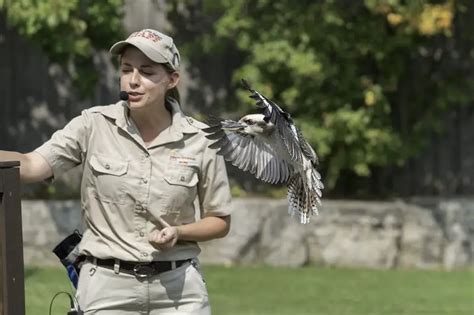 What Does A Zookeeper Do (including Their Typical Day at Work)