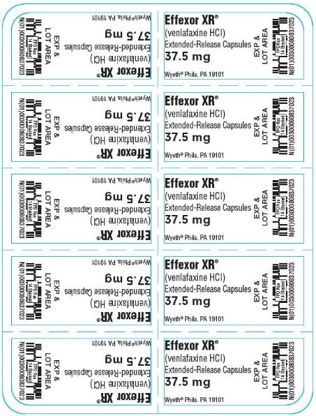 Effexor Drug Information From Guideline Central