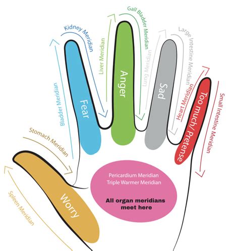 Organ Function Energy Singapore Voice Lessons