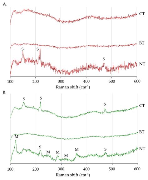 Raman Spectra Obtained On A Set B Fresh Oak And B Set E Fresh