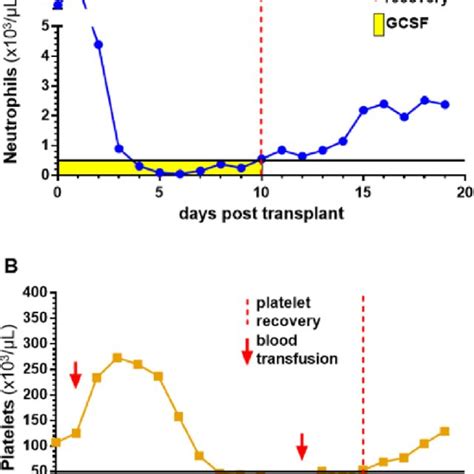 transplant  mgta   plerixafor mobilized cd cells leads