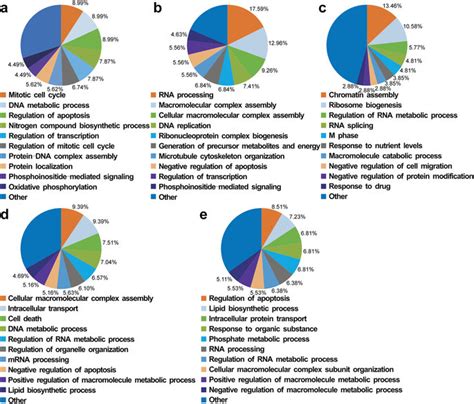 Gene Ontology Biological Process Analysis Of Differentially Expressed Download Scientific