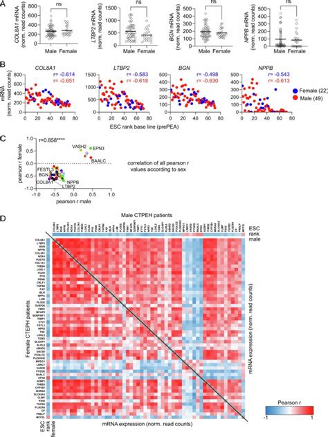 A Common Gene Signature Of The Right Ventricle In Failing Rat And Human