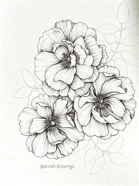 Pin By Ic On Flower Line Drawings Flower Art Drawing Flower Drawing