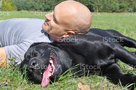 Man With Black Dog In The Park At Sunny Day Stock Photo Download