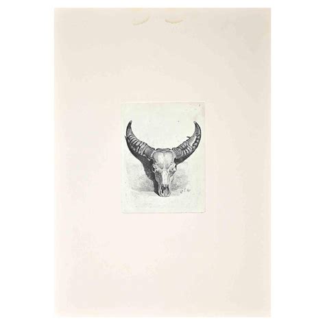 After Charles Coleman, The Bull's Skull, Original Etching, 1992 | Chairish