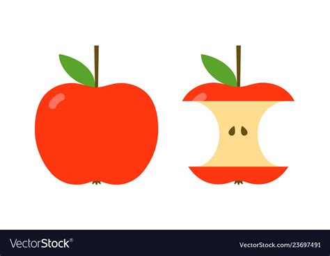 Apple Core Vector