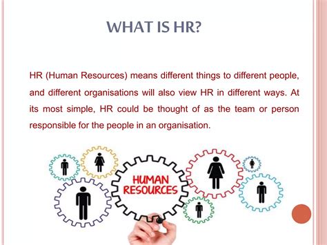 Experts explain what being a professional in human resources means 16