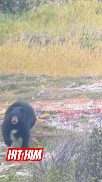 Hunters Get Charged By Bear Short Shorts Shortsvideo Video Hunting Viral Grizzly Youtube