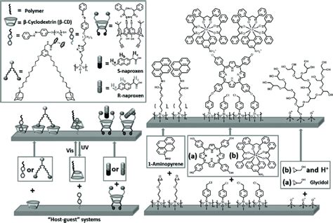 Scheme 3 Schematic Representations Of Potential Supramolecular