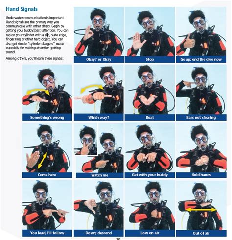 Scuba Hand Signals Daivings Lv