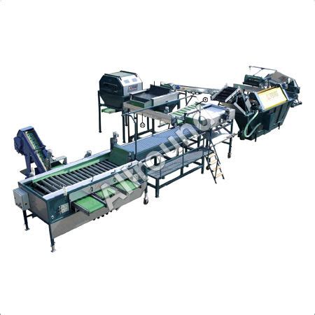 Integrated Vegetable Processing Line At Best Price In Ambala Allround