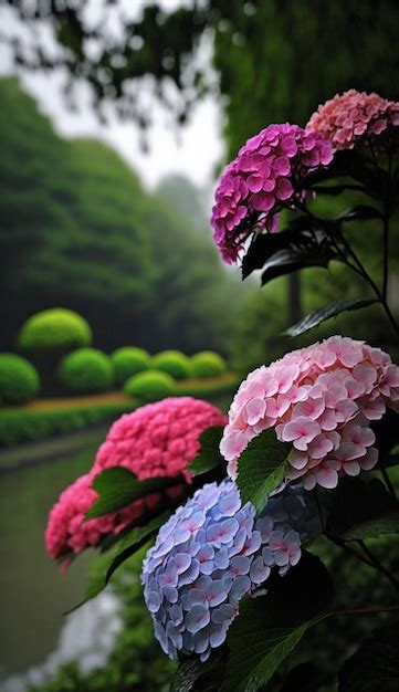 Un Jard N De Flores Con Un Fondo Verde Y Una Hortensia En Primer Plano