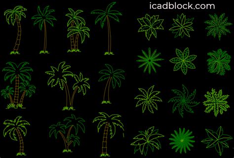 Palm Tree Cad Block Collection In Dwg Icadblock