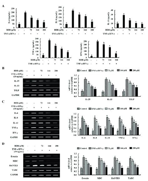 Inhibitory Effects Of Bdb On Inflammatory Cytokines And Chemokines