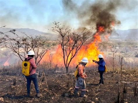 Chiapas Segunda Entidad Con Mayor Superficie Afectada Por Incendios