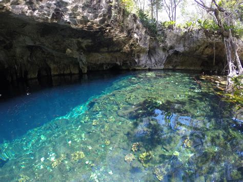 Gran Cenote Tulum-3 - The Sweetest Way