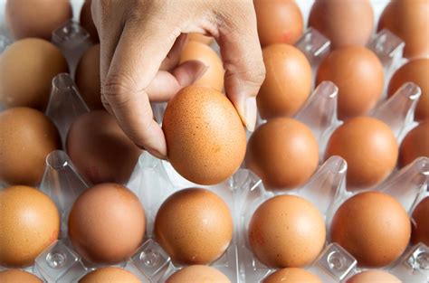 Uova Contaminate Un Lotto Positivo Al Fipronil Nelle Marche