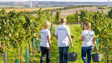 Bio Qualität aus dem Weinviertel spusu geht unter Winzer Cooking