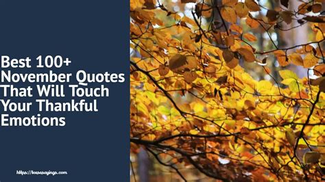 Best 100+ November Quotes That Will Touch Your Thankful Emotions