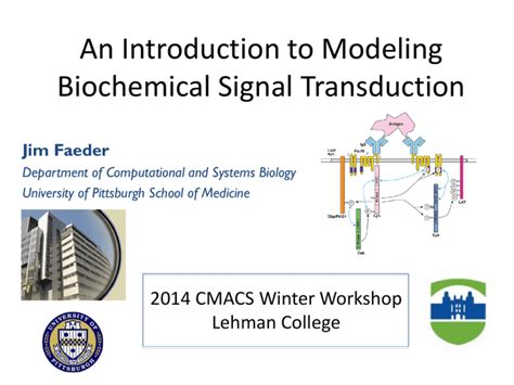 An Introduction To Modeling Biochemical Signal