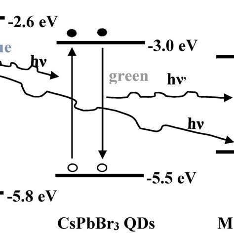 Scheme of the triplet Förster resonance energy transfer FRET in the