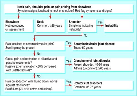 Supraspinatus Strength Test