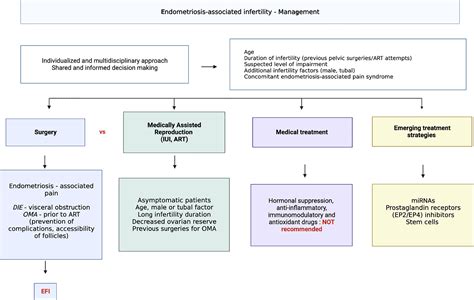 Frontiers Endometriosis Associated Infertility From Pathophysiology