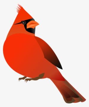 Winter Cardinal Clipart Clipart Library Clip Art Library