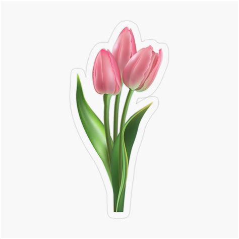 Tulip Pink Sticker For Sale By Myhome68 Floral Stickers Pink