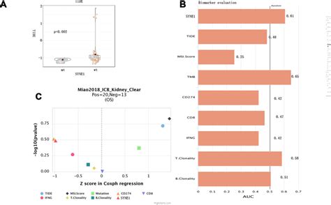 Tumor Infiltrating Immune Cells Associated With Syne1 Mutation In Download Scientific Diagram