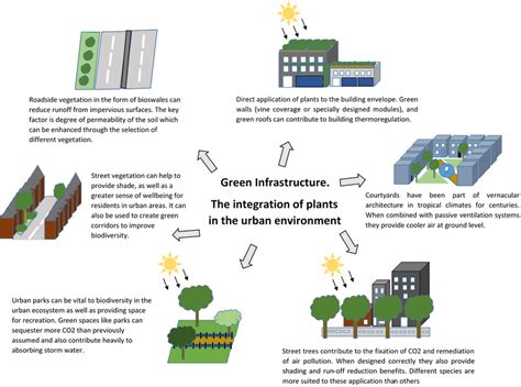 Examples Of Urban Green Infrastructure And Their Potential