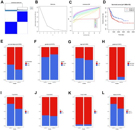 A Circadian Rhythm Related Gene Signature Associated With Tumor