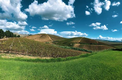 Degustazione Vini Camporeale A Partire Da Freedome